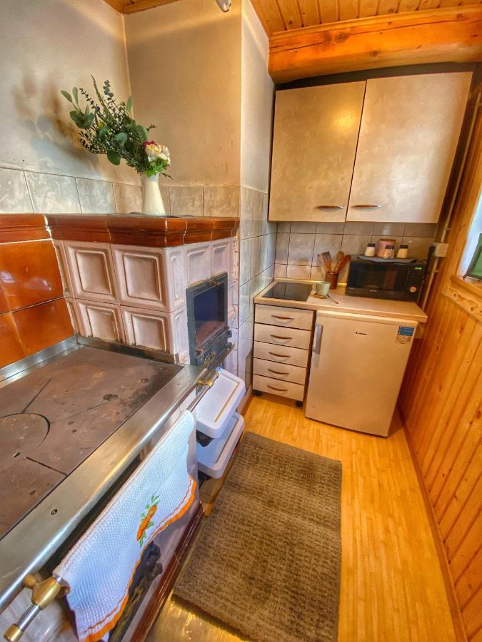 Chalet Kosutnik Velika Planina Kamniska Bistrica Kültér fotó