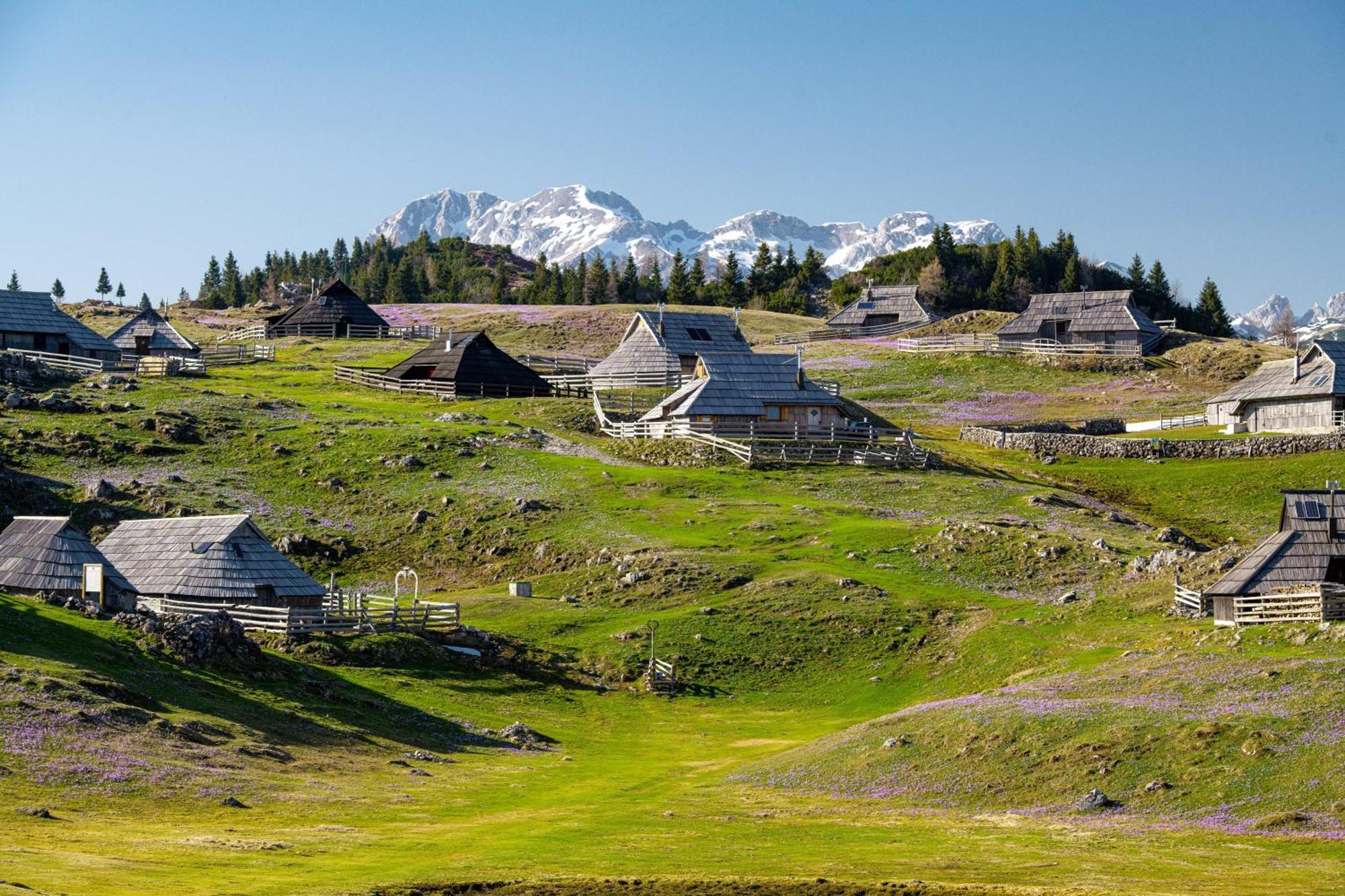 Chalet Kosutnik Velika Planina Kamniska Bistrica Kültér fotó