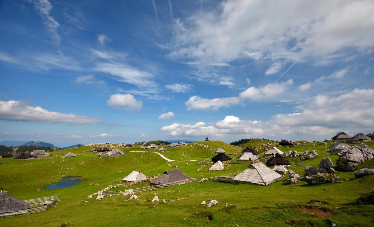 Chalet Kosutnik Velika Planina Kamniska Bistrica Kültér fotó