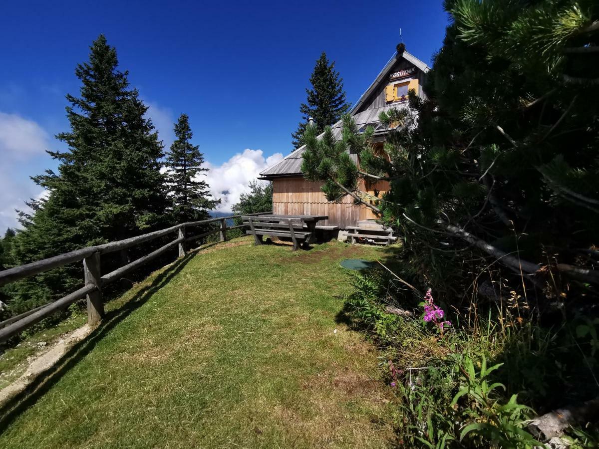 Chalet Kosutnik Velika Planina Kamniska Bistrica Kültér fotó